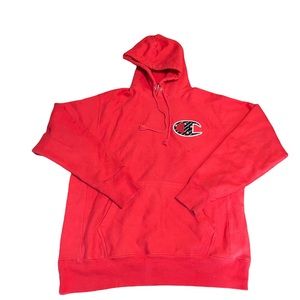 Champion hoodie